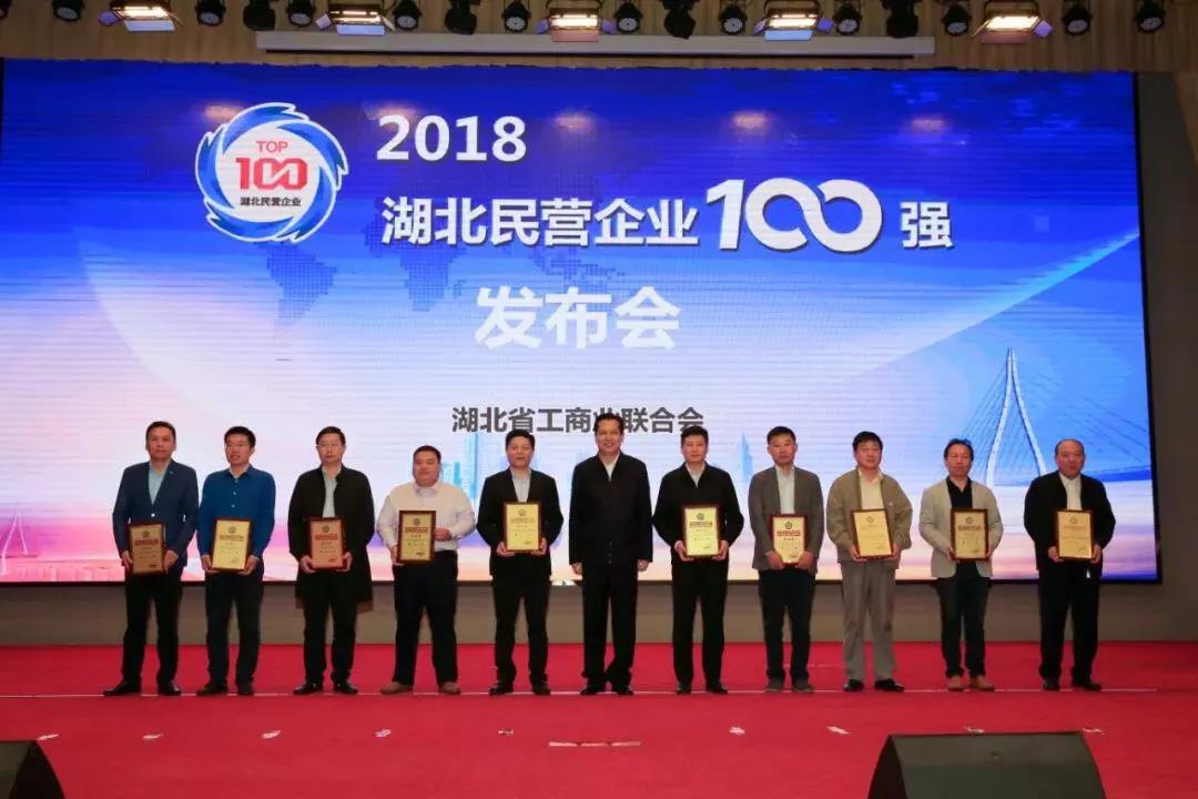 湖北民營企業(yè)100強